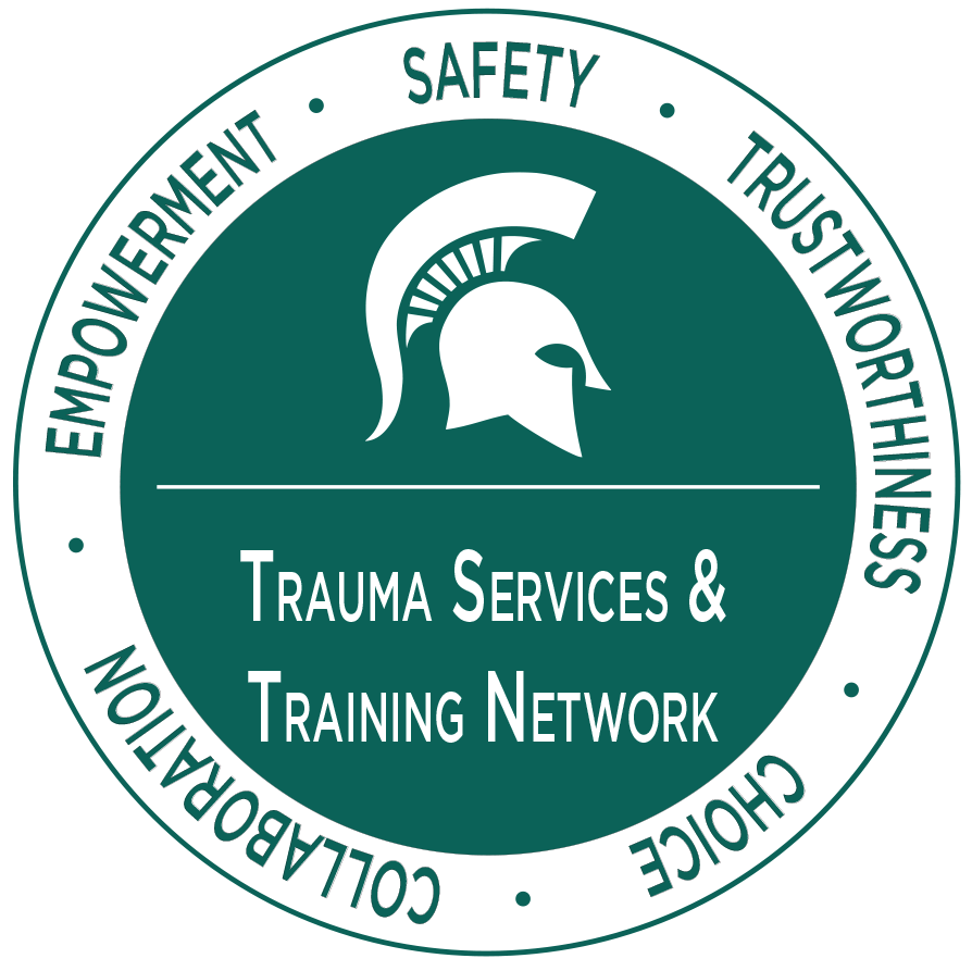 Trauma Services and Training Network logo